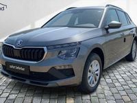 Neu Skoda Kamiq Selection 116 PS (85 kW) 2025 Grau / graphitegrau SUV
