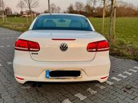 Gebraucht VW Eos 122 PS (89 kW) 2014 Weiß Cabrio
