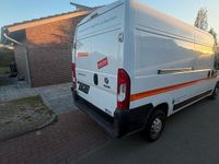 Second-hand Fiat Ducato 2019 Alb Van