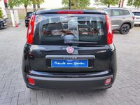 Gebraucht Fiat Panda Pop 69 PS (50 kW) 2013 Schwarz (cinema schwarz) Kleinwagen
