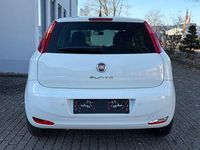 Gebraucht Fiat Punto Young 69 PS (50 kW) 2016 Weiß Kleinwagen