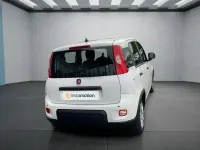 Gebraucht Fiat Panda 69 PS (50 kW) 2024 Weiß Kleinwagen