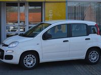 Gebraucht Fiat Panda Urban 69 PS (50 kW) 2020 Weiß Kleinwagen
