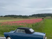 Gebraucht DKW Junior 45 PS (33 kW) 1964 Blau Cabrio