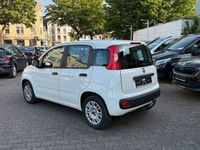 Gebraucht Fiat Panda Easy 69 PS (50 kW) 2020 Weiß Kleinwagen