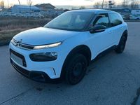 Gebraucht Citroën C4 Cactus 102 PS (75 kW) 2019 Weiß Kleinwagen