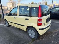 Gebraucht Fiat Panda Dynamic 60 PS (44 kW) 2009 Beige Kleinwagen