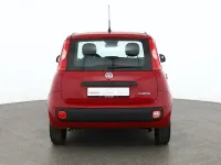 Neu Fiat Panda Connect 71 PS (52 kW) 2025 Rot Kleinwagen