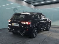 Gebraucht Ford Kuga ST-Line 152 PS (111 kW) 2024 Schwarz SUV