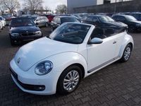Gebraucht VW Beetle Cabriolet 105 PS (77 kW) 2015 Pure white (metallic) Cabrio