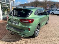 Gebraucht Ford Kuga ST-Line 186 PS (136 kW) 2024 Grün SUV