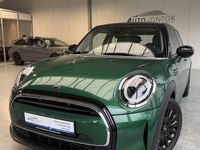 Gebraucht Mini Cooper 136 PS (100 kW) 2023 Grün Kleinwagen