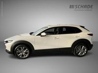 Gebraucht Mazda CX-30 Selection 122 PS (89 kW) 2020 Weiß SUV
