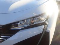 Gebraucht Peugeot 408 Allure 131 PS (96 kW) 2024 Weiß metallic