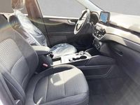 Gebraucht Ford Kuga Titanium 224 PS (164 kW) 2024 Weiß (frozen white) SUV