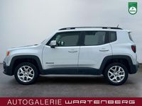 Gebraucht Jeep Renegade Longitude 140 PS (102 kW) 2017 Grau SUV