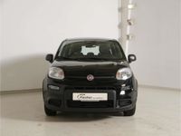 Gebraucht Fiat Panda 69 PS (50 kW) 2024 Schwarz Kleinwagen