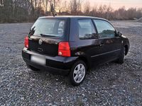 Gebraucht VW Lupo 75 PS (55 kW) 1998 Schwarz Kleinwagen