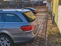 Gebraucht Mercedes E220 170 PS (125 kW) 2014 Grau Kombi