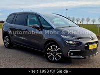 Gebraucht Citroën C4 SpaceTourer Shine 131 PS (96 kW) 2019 Grau Van / Kleinbus