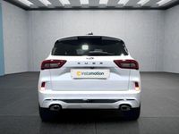 Gebraucht Ford Kuga ST-Line 186 PS (136 kW) 2024 Weiß SUV