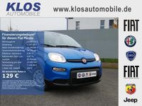 Gebraucht Fiat Panda 70 PS (51 kW) 2024 Blau Kleinwagen
