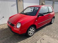 Gebraucht VW Lupo 75 PS (55 kW) 2002 Rot Kleinwagen