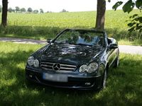 Gebraucht Mercedes CLK200 184 PS (135 kW) 2007 Blau Cabrio