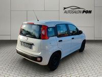 gebraucht Fiat Panda Easy, 1.Hand, A/C , Scheckheftgepflegt