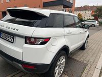 Gebraucht Land Rover Range Rover evoque Dynamic 150 PS (110 kW) 2013 Weiß SUV