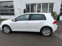 Gebraucht VW Golf VII 85 PS (62 kW) 2014 Weiß Kleinwagen