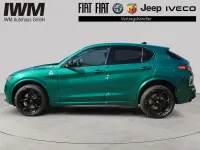 Gebraucht Alfa Romeo Stelvio Quadrifoglio 519 PS (381 kW) 2024 Verde montreal speziallack SUV