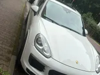 Gebraucht Porsche Cayenne 262 PS (192 kW) 2016 Weiß SUV