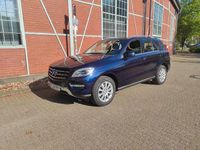 Gebraucht Mercedes ML350 258 PS (189 kW) 2014 Blau SUV