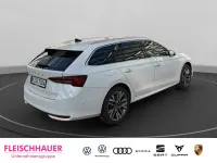 Gebraucht Skoda Octavia SportLine 265 PS (194 kW) 2025 Grau Kombi