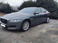 Gebraucht Jaguar XF Portfolio 163 PS (119 kW) 2017 Grau Limousine