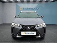 Brugt Lexus UX 2021 Grå SUV