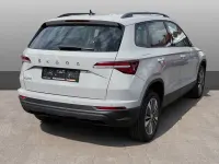 Gebraucht Skoda Karoq Tour 150 PS (110 kW) 2023 Grau SUV