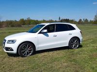 Gebraucht Audi SQ5 326 PS (239 kW) 2016 Weiß SUV