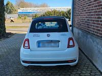 Gebraucht Fiat 500 51 PS (37 kW) 2018 Weiß Kleinwagen