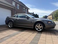 Usata Ford Mustang 264 CV (194 kW) 2004
