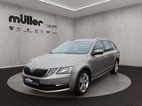 Gebraucht Skoda Octavia Clever 116 PS (85 kW) 2018 Cappuccinobeige metallic Kombi