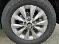 Neu Skoda Karoq Selection 190 PS (139 kW) 2025 Nevadaweiß metallic SUV