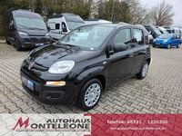 Neu Fiat Panda Icon 69 PS (50 kW) 2025 Schwarz Limousine