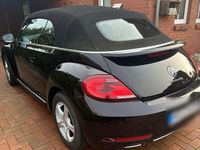 Gebraucht VW Beetle Cabriolet Sound 105 PS (77 kW) 2017 Schwarz Cabrio