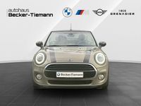 Gebraucht Mini Cooper Cabriolet 136 PS (100 kW) 2019 Emerald grey Cabrio