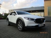 Gebraucht Mazda CX-30 Selection 122 PS (89 kW) 2020 Weiß SUV