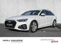 Gebraucht Audi A4 Ambiente 204 PS (150 kW) 2023 Gletscherweiß (metallic) Kombi
