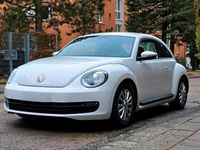Usata VW Beetle 105 CV (77 kW) 2012 Bianco Utilitaria