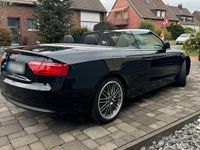 Gebraucht Audi A5 Cabriolet 170 PS (125 kW) 2010 Schwarz Cabrio